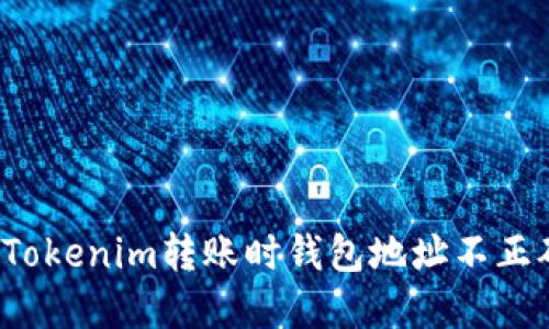 如何解决Tokenim转账时钱包地址不正确的问题?