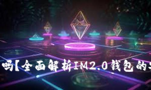im2.0钱包能冻结吗?全面解析IM2.0钱包的安全性与相关功能