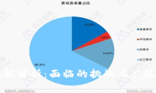 区块链现状分析:面临的挑战与广泛应用前景