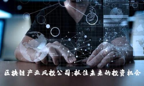 区块链产业风投公司：抓住未来的投资机会