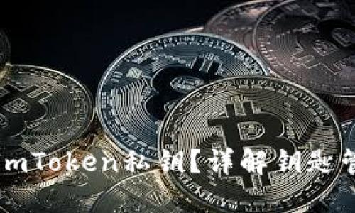 如何安全管理您的ImToken私钥?详解钥匙管理与数字资产保护