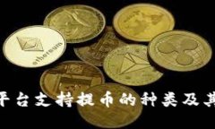 Tokenim平台支持提币的种类及其详细指南