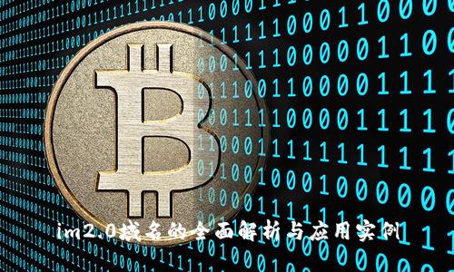 im2.0域名的全面解析与应用实例