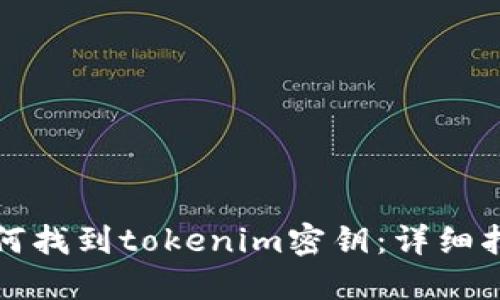 如何找到tokenim密钥:详细指南