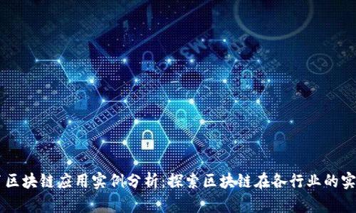 蓝皮书区块链应用实例分析：探索区块链在各行业的实际应用