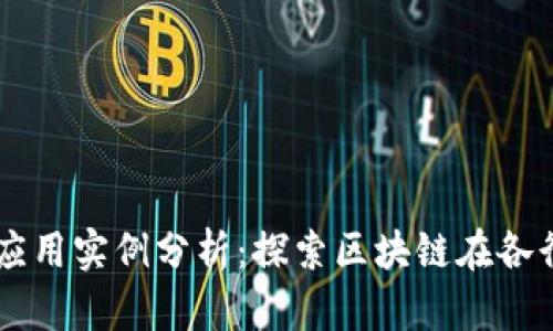 蓝皮书区块链应用实例分析：探索区块链在各行业的实际应用
