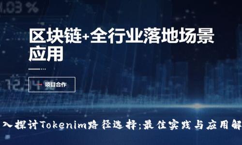 深入探讨Tokenim路径选择:最佳实践与应用解析