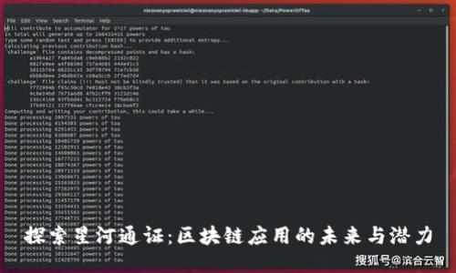 探索星河通证:区块链应用的未来与潜力
