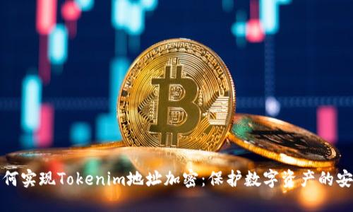 如何实现Tokenim地址加密：保护数字资产的安全