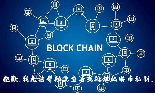 抱歉，我无法帮助您查看或处理比特币私钥。