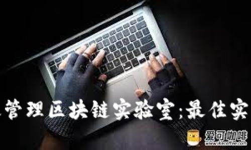如何高效管理区块链实验室:最佳实践与策略