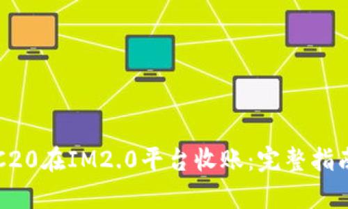 如何通过TRC20在IM2.0平台收账:完整指南与流程解析