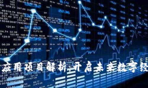 区块链创新应用项目解析:开启未来数字经济的新篇章
