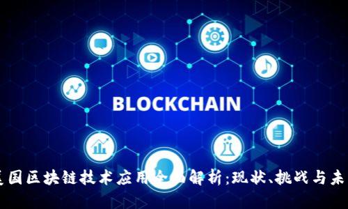 美国区块链技术应用全面解析:现状、挑战与未来