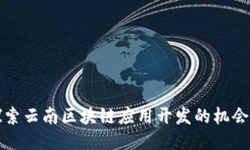 深入探索云南区块链应用开发的机会与挑战