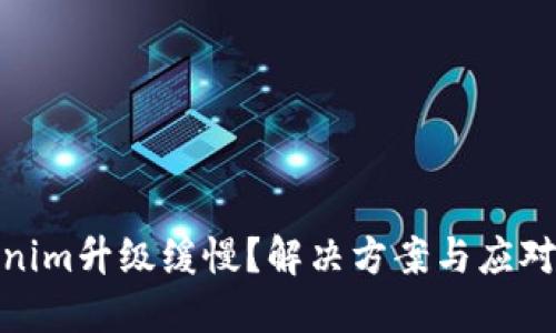 Tokenim升级缓慢?解决方案与应对策略
