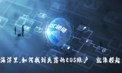“在区块链的海洋里，如何找到失落的