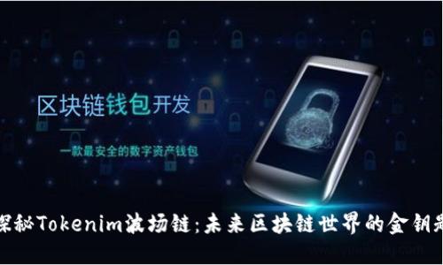 探秘Tokenim波场链:未来区块链世界的金钥匙