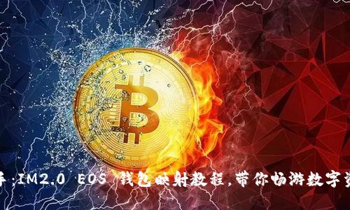 轻松上手：IM2.0 EOS 钱包映射教程，带你畅游数字资产之海