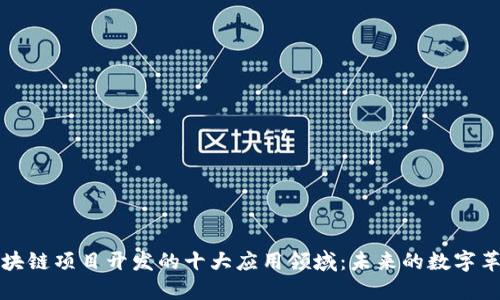 区块链项目开发的十大应用领域:未来的数字革命