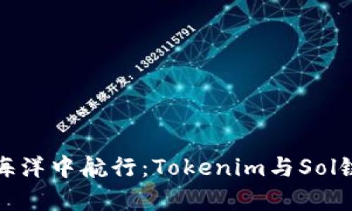 在区块链的海洋中航行:Tokenim与Sol链的浪潮共舞
