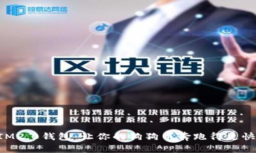 “IM2.0钱包:让你的狗狗币奔跑得更快!”