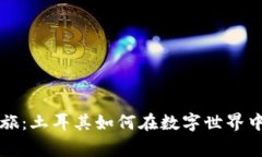 区块链之旅：土耳其如何在数字世界中