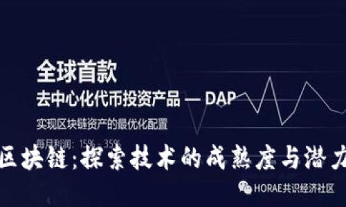 人肉区块链:探索技术的成熟度与潜力之旅