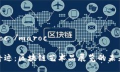  maroc /maroc 数字奇迹：区块链艺术品展
