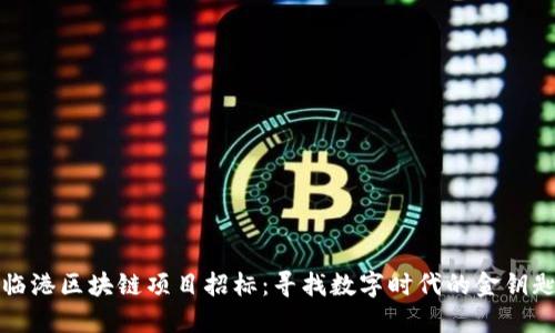 临港区块链项目招标：寻找数字时代的金钥匙