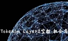 深入了解Tokenim Layer2空投：机会与挑战并存