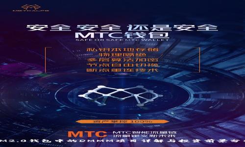 IM2.0钱包中的DMMM项目详解与投资前景分析