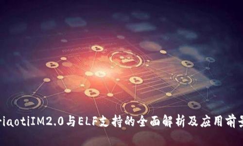 riaotiIM2.0与ELF支持的全面解析及应用前景