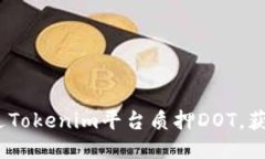 : 如何通过Tokenim平台质押DOT，获取高收