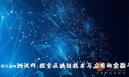 Tokenim测试网：探索区块链技术与应用的实验平台