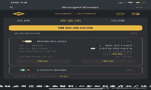 区块链应用范围全面解析：从金融到医疗的广泛影响