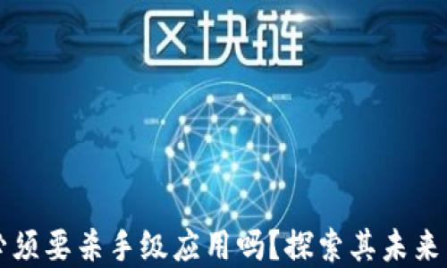 
区块链必须要杀手级应用吗？探索其未来发展方向