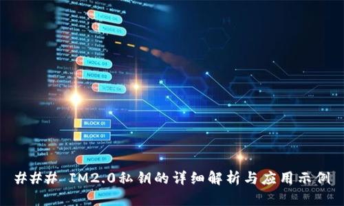 ### IM2.0私钥的详细解析与应用示例