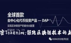 解密Tokenim：领跑区块链技术的未来